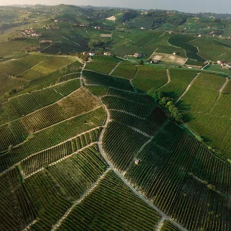 Babo Conviviale Bauernhof Castagnole delle Lanze